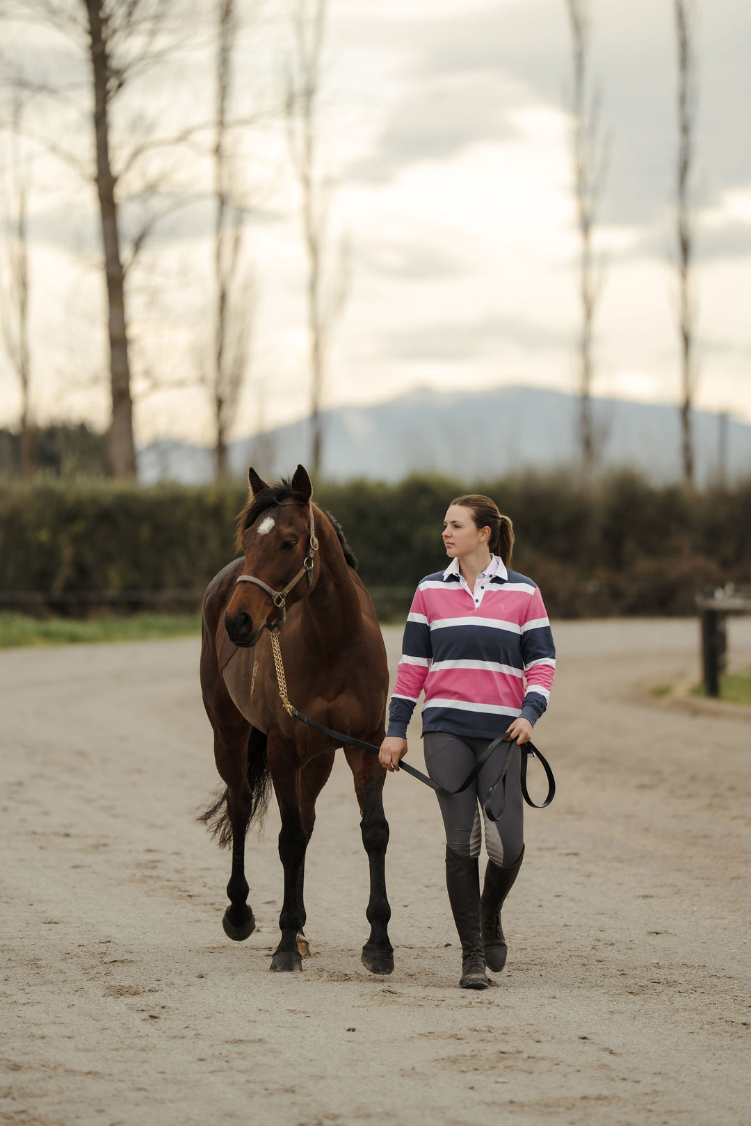 Women’s Jumpers