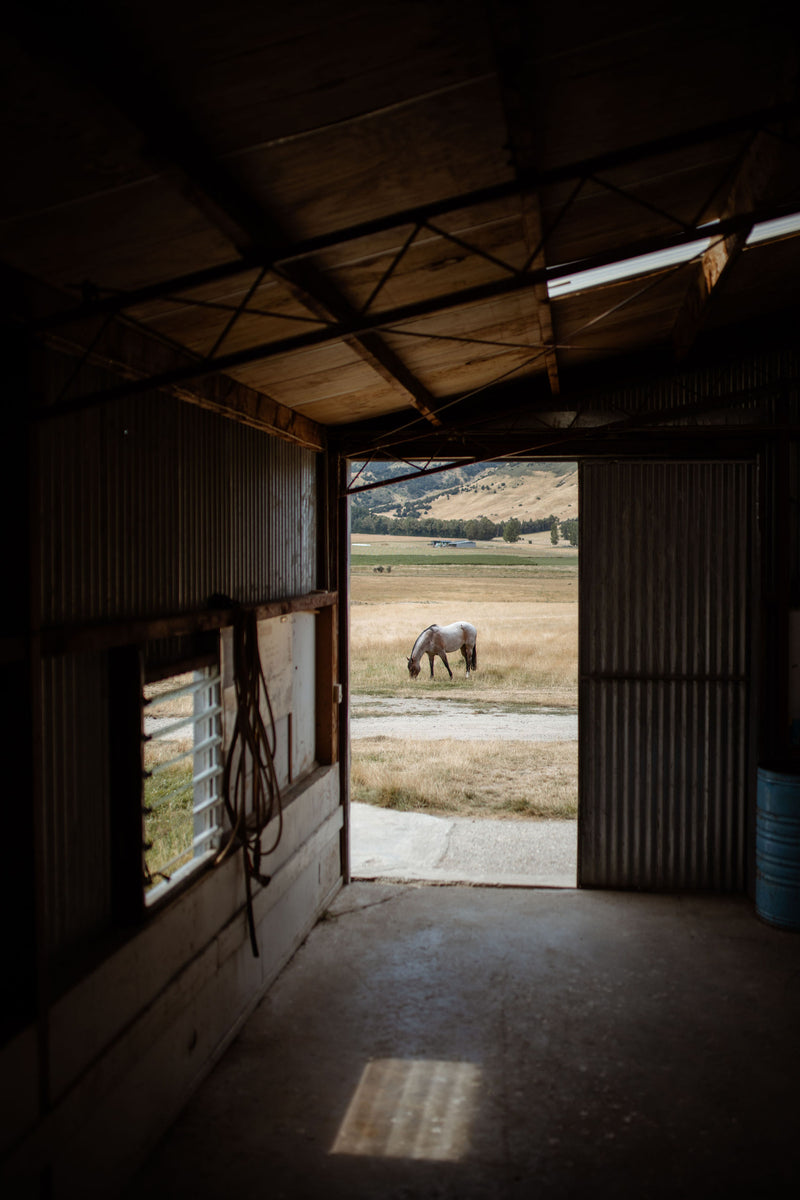 Frequently Asked Questions